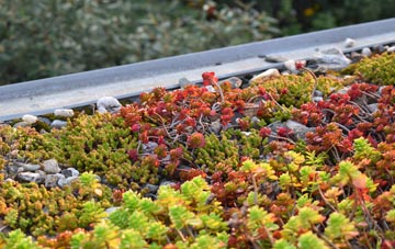the cost of The Arms green roof installation