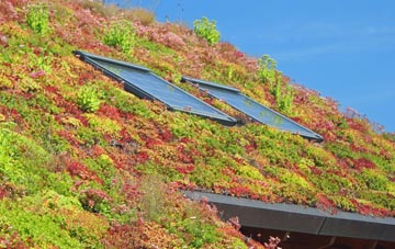 The Arms living roof systems